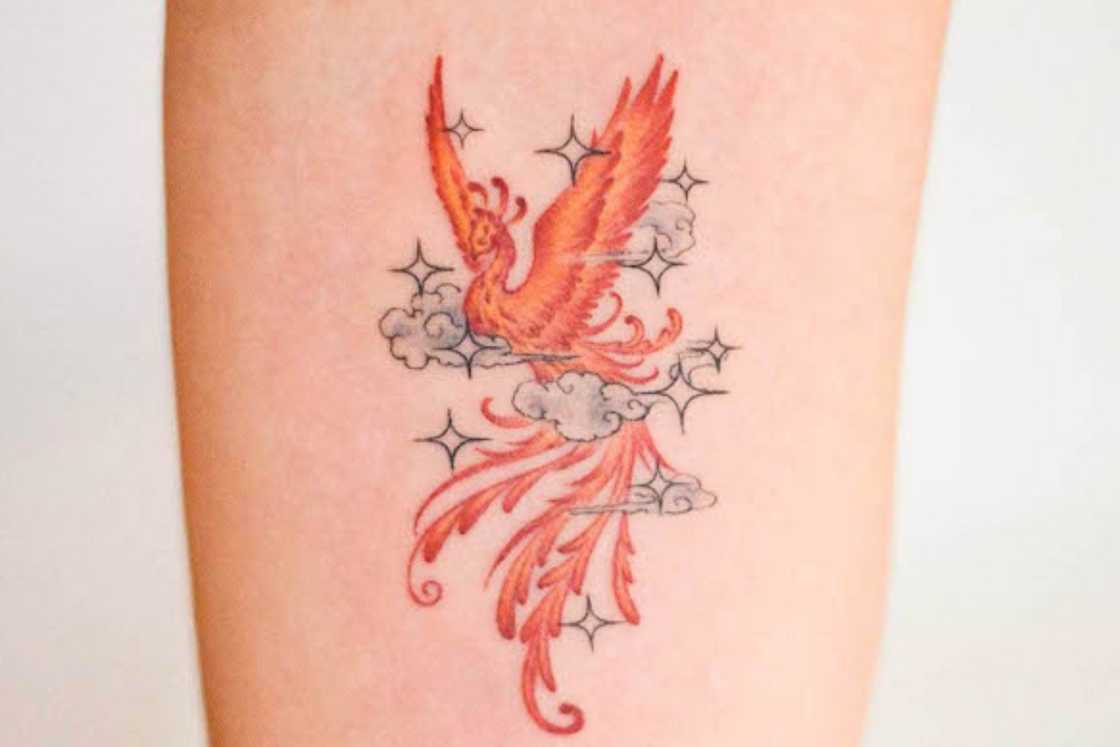 feminine rebirth phoenix tattoo