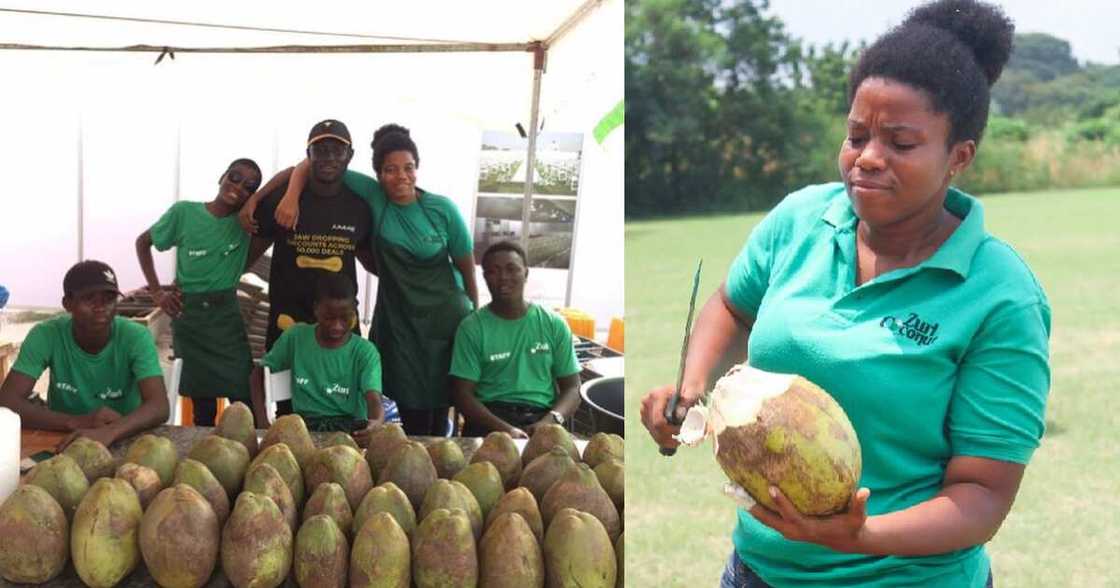 University of graduates establishes coconut business at age 20 University of graduates establishes coconut business at age 20