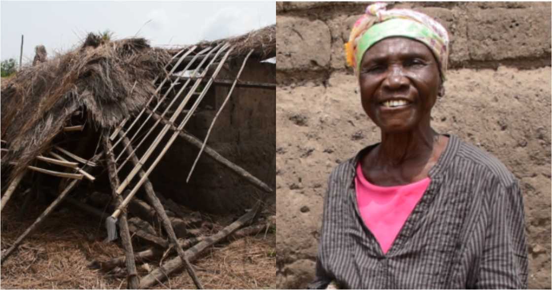 Paulina Doh: Disabled 84-year-old woman rendered homeless after a storm destroyed her mudhouse cries for help Paulina Doh: Disabled 84-year-old woman rendered homeless after a storm destroyed her mudhouse cries for help