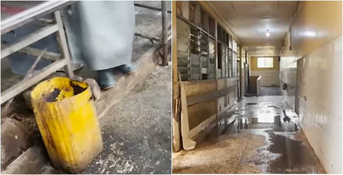 Godwin Asediba from GHOne TV in a report on Korle Bu Mortuary Godwin Asediba from GHOne TV in a report on Korle Bu Mortuary