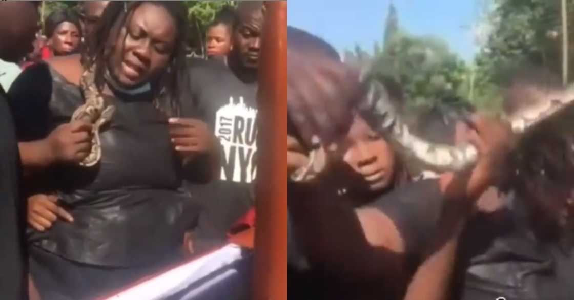 Woman seen putting snake in late husband's casket; Ghanaians say it will deal with his killers Woman seen putting snake in late husband's casket; Ghanaians say it will deal with his killers