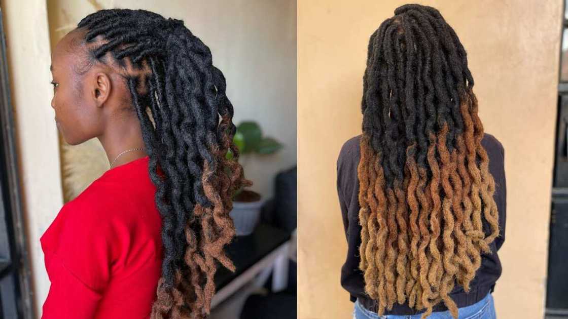 Women looking great in Ombre kinky locs Women looking great in Ombre kinky locs