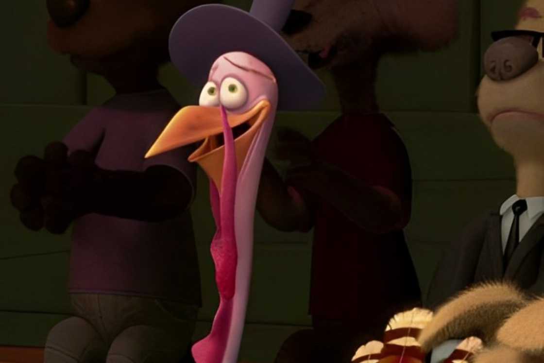 Mayor Turkey Lurkey is inside a room full of people Mayor Turkey Lurkey is inside a room full of people