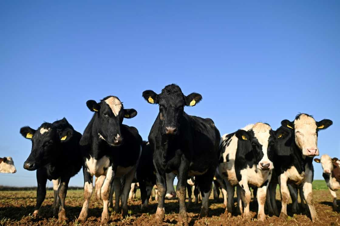 Last year, the Labour government announced some farms would no longer be exempt from inheritance tax Last year, the Labour government announced some farms would no longer be exempt from inheritance tax