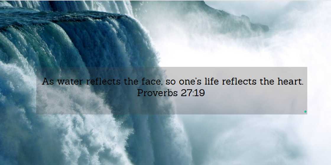 Words of wisdom Words of wisdom