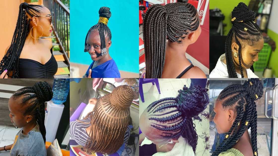 50+ cornrow rasta styles in 2022: amazing styles guaranteed to turn ...