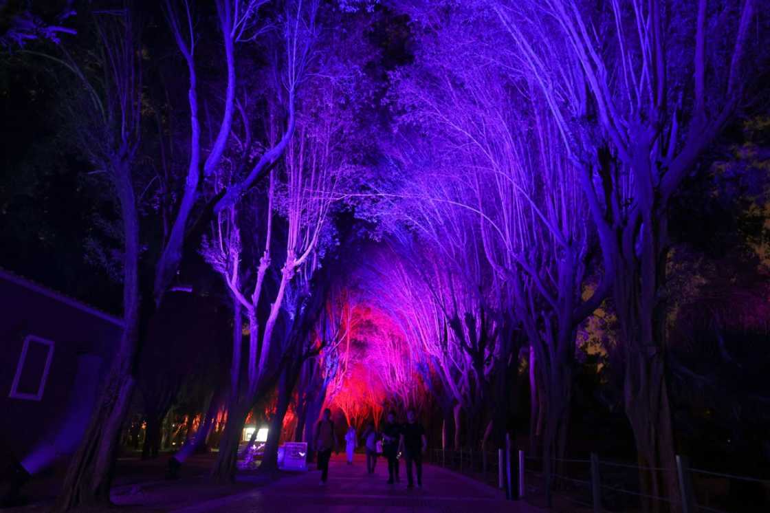 The festival's curator said international artists were under no pressure from Saudi authorities about content The festival's curator said international artists were under no pressure from Saudi authorities about content