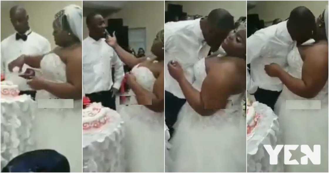 Plus size bride puts cake between her breasts for groom to lick at their wedding (video) Plus size bride puts cake between her breasts for groom to lick at their wedding (video)