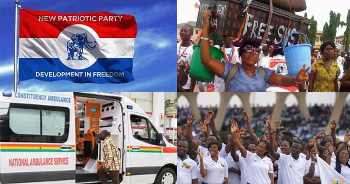 Free SHS, NABCo, 20 other top achievements of the NPP since its 29 years in existence Free SHS, NABCo, 20 other top achievements of the NPP since its 29 years in existence