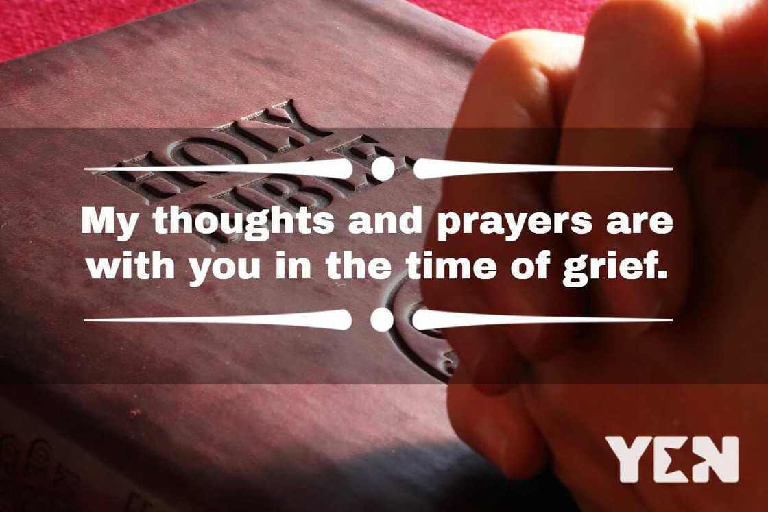 You're in my thoughts and prayers You're in my thoughts and prayers