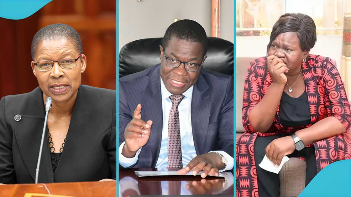 Gladys Wanga, helicopter landing, Kericho County, Naivasha retreat, weather conditions, Kenya government officials, emergency landing, flight safety, Opiyo Wandayi, Dorcas Oduor, helicopter, aircraft crash