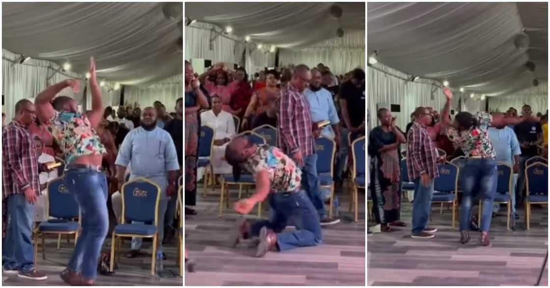 Slim-fitted jeans, snake, dance, church