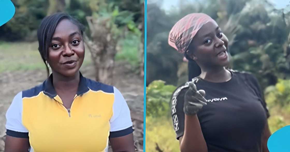 Ghanaian lady, SHS graduates, WASSCE, vocational skills, awaiting results Ghanaian lady, SHS graduates, WASSCE, vocational skills, awaiting results