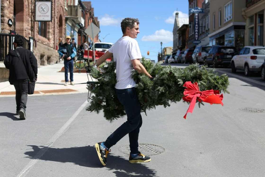 A set decorator carries a Christmas tree during filming of 'Hocus Pocus Christmas' on April 16 in Almonte, Ontario, just outside Ottawa