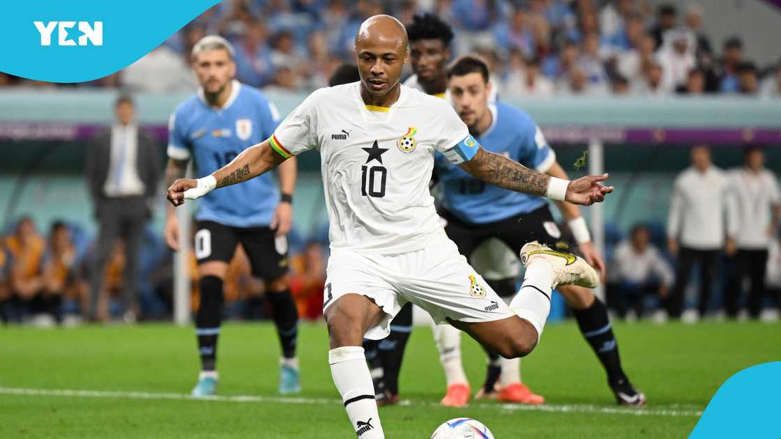 Andre Ayew, Ghana's Black Stars, 2022 FIFA World Cup, Le Havre, Shatta Wale. Andre Ayew, Ghana's Black Stars, 2022 FIFA World Cup, Le Havre, Shatta Wale.