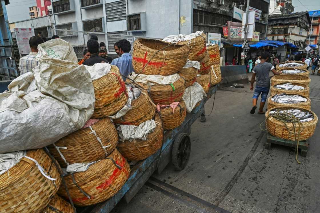Labourers take a break from pushing a handcart loaded with baskets of fish at a port in Mumbai Labourers take a break from pushing a handcart loaded with baskets of fish at a port in Mumbai