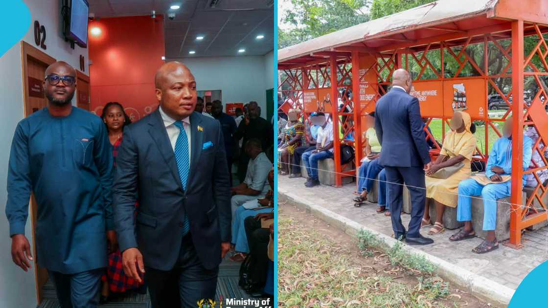 The Foreign Affairs Minister, Visa Application, Embassies, Ablakwa, Visa queues The Foreign Affairs Minister, Visa Application, Embassies, Ablakwa, Visa queues