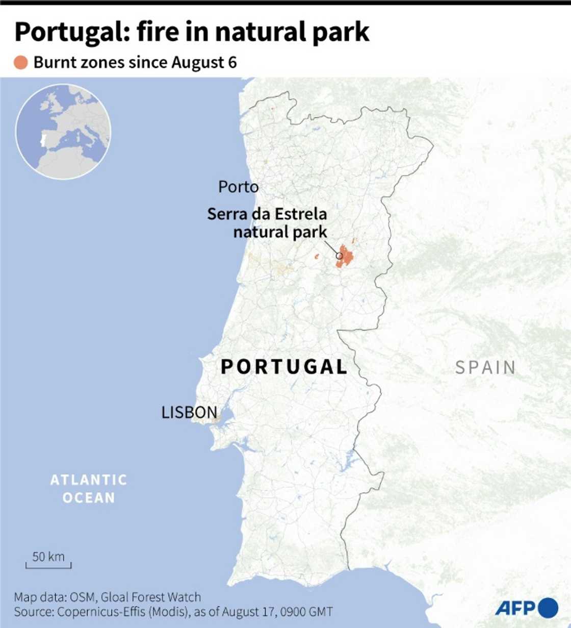 Portugal: fire in natural park Portugal: fire in natural park