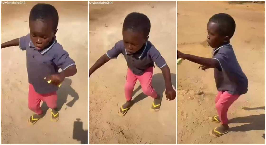 Little boy breaks into a nice dance, makes many happy in video. Little boy breaks into a nice dance, makes many happy in video.