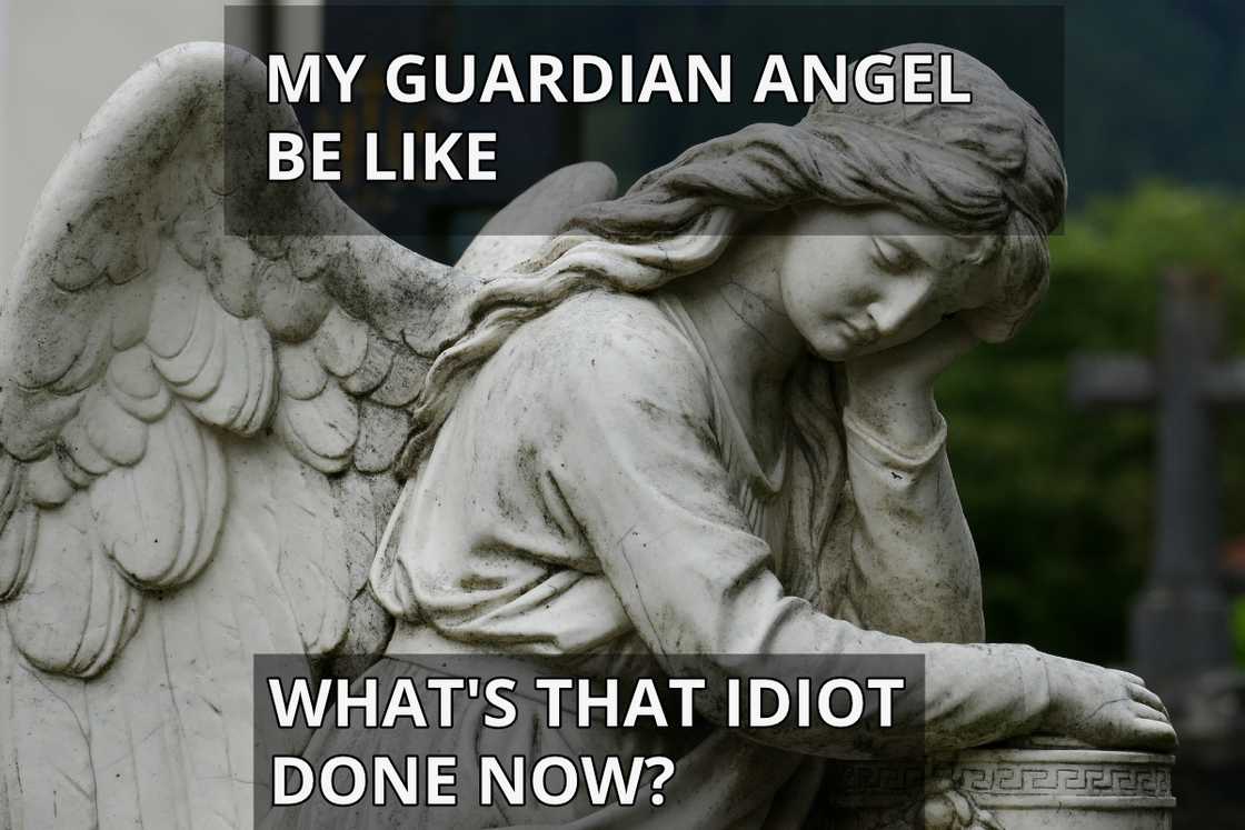 funny memes about life funny memes about life