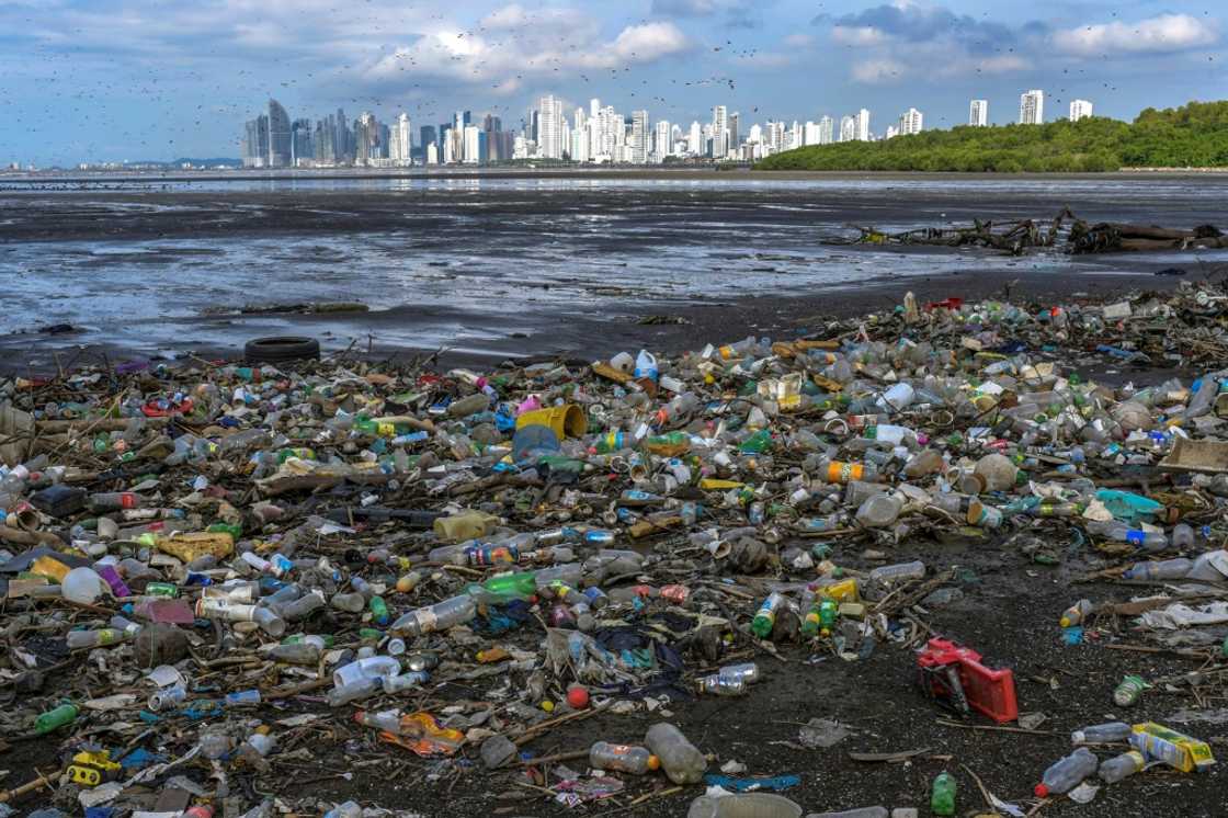 On current trends, pollution and overfishing could see as much plastic in the oceans as fish by mid-century On current trends, pollution and overfishing could see as much plastic in the oceans as fish by mid-century