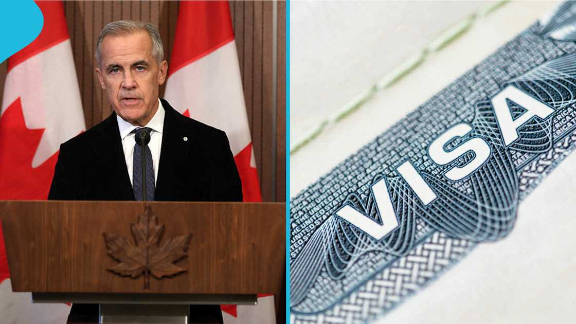 Canada immigration policy, study permit exemption, temporary foreign workers, short-term courses in Canada, Canada work permit, study without a permit, foreign workers in healthcare, professional licensing in Canada Canada immigration policy, study permit exemption, temporary foreign workers, short-term courses in Canada, Canada work permit, study without a permit, foreign workers in healthcare, professional licensing in Canada