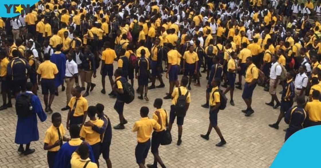 Pope John Senior High School, students, mobile phones, regulations, SHS Pope John Senior High School, students, mobile phones, regulations, SHS