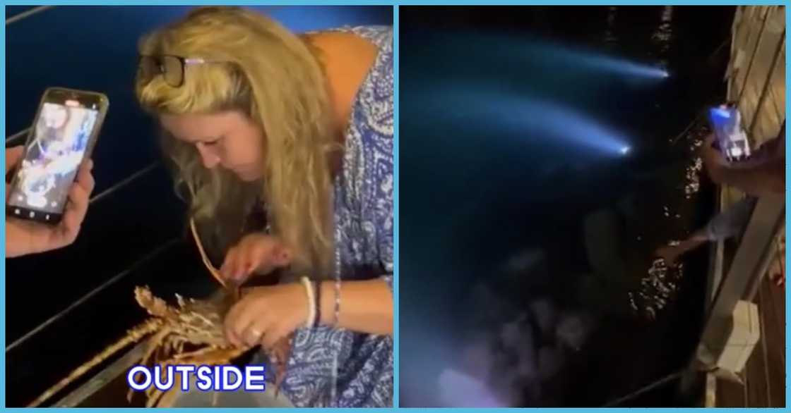 Swiss tourist at a restaurant Swiss tourist at a restaurant