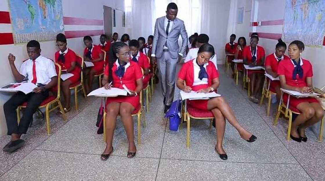 air hostess schools