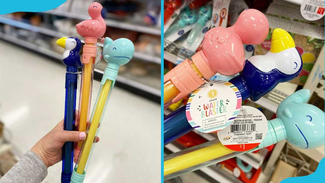 Animal-shaped water blasters Animal-shaped water blasters