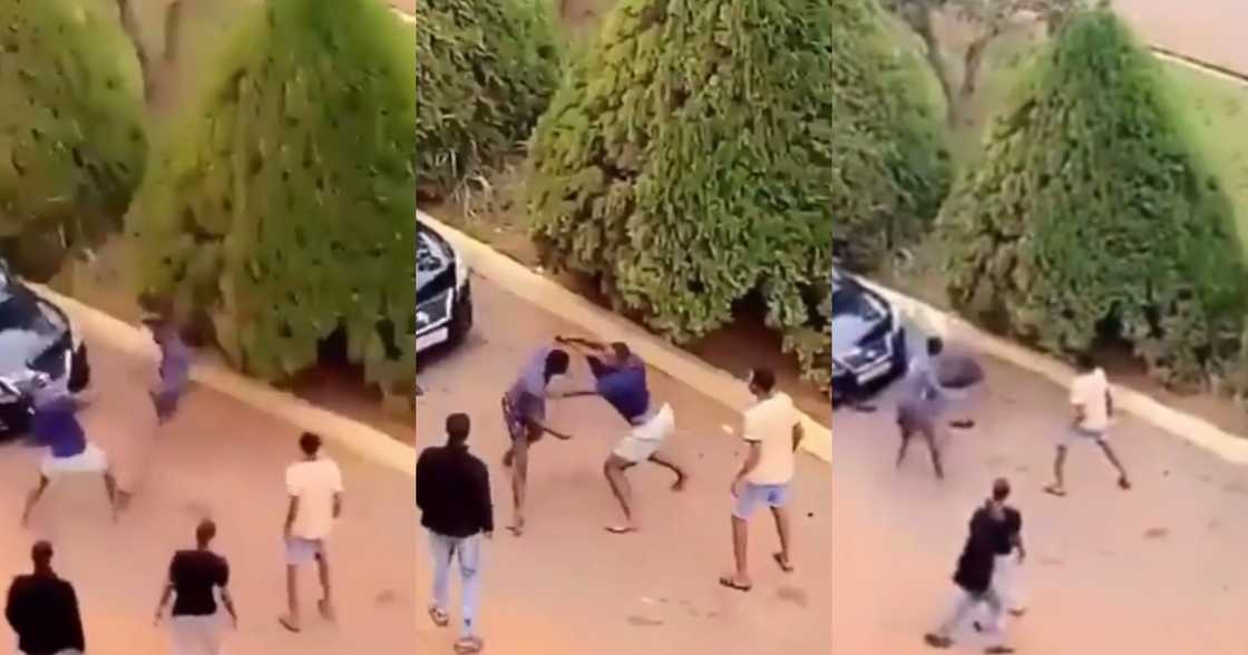 Odo ma nipa gyimi: Video drops as 2 KNUST boys fight over Level 100 girl Odo ma nipa gyimi: Video drops as 2 KNUST boys fight over Level 100 girl