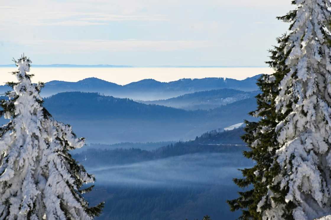 The company is based in Germany's picturesque Black Forest region and has now plans to leave The company is based in Germany's picturesque Black Forest region and has now plans to leave