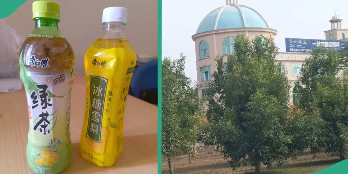 Mixed reactions as Chinese supermarket where Nigerians are not permitted to buy anything is exposed Mixed reactions as Chinese supermarket where Nigerians are not permitted to buy anything is exposed