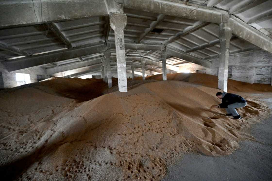Several of Ukraine's EU neighbours have introduced restrictions on shipments of Ukrainian grain and food products Several of Ukraine's EU neighbours have introduced restrictions on shipments of Ukrainian grain and food products
