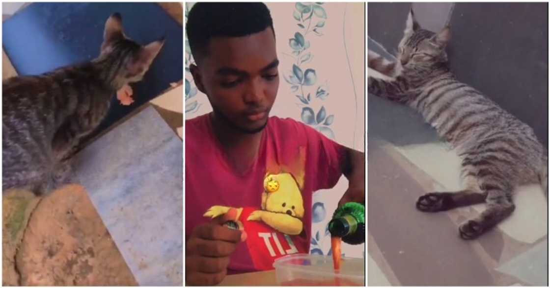 Man gets cat drunk and sleepy Man gets cat drunk and sleepy