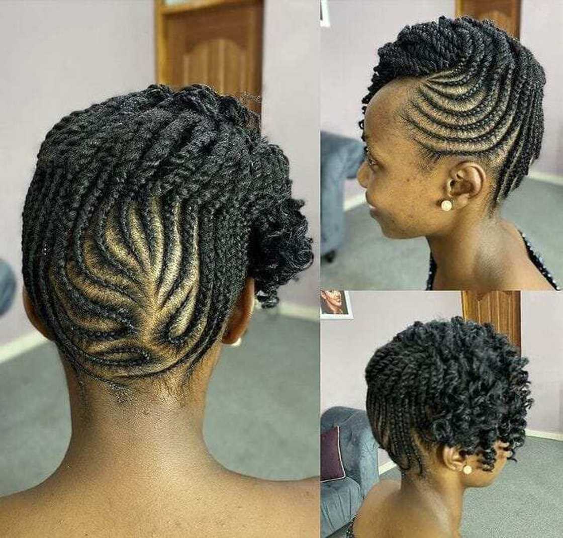 beautiful Afro twist braids hairstyles beautiful Afro twist braids hairstyles