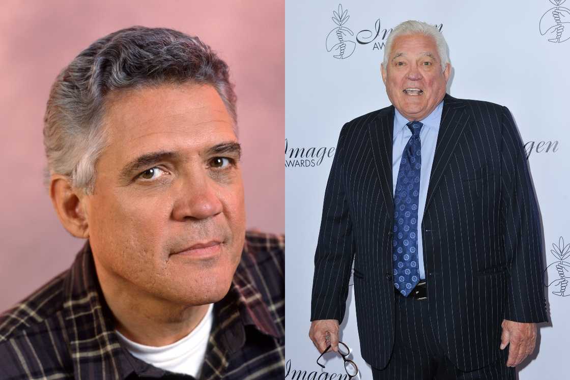 Police Academy cast Police Academy cast