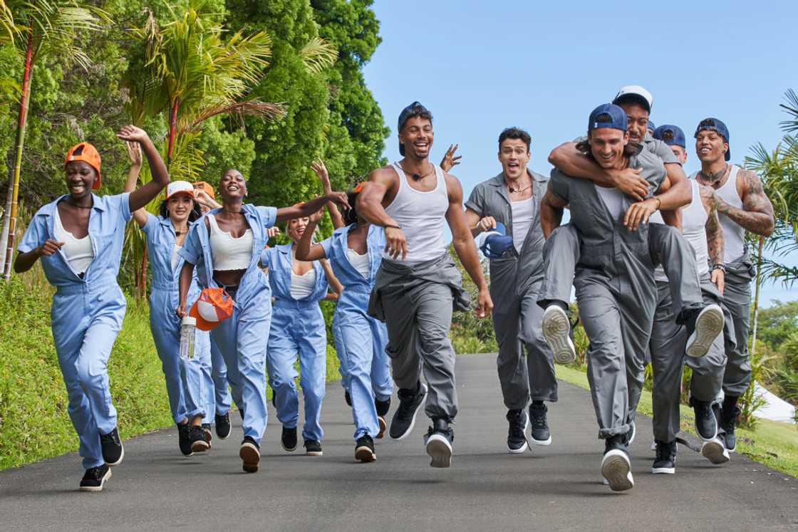 Love Island USA Love Island USA