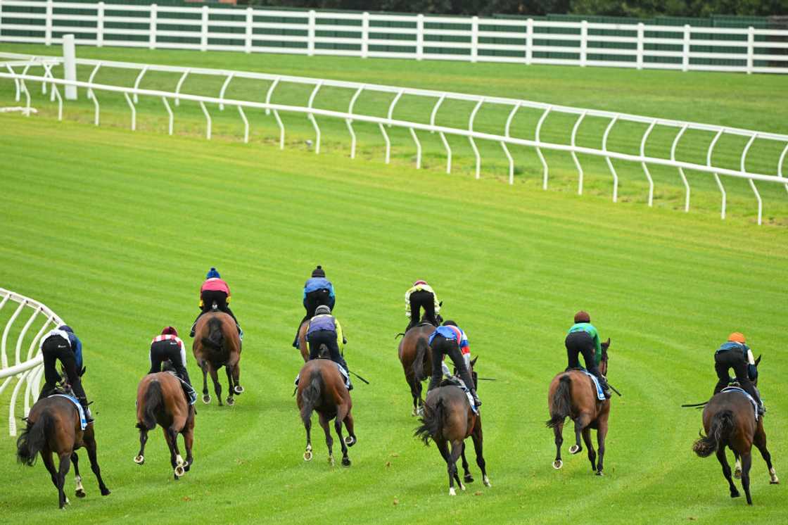 Horseback riders participating in official trials on Caulfield Heath track at Caulfield Racecourse in Melbourne, Australia.