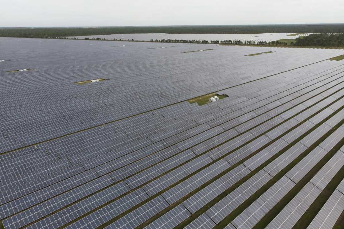 A field of solar panels in Babcock Ranch, Florida in December 2023 A field of solar panels in Babcock Ranch, Florida in December 2023