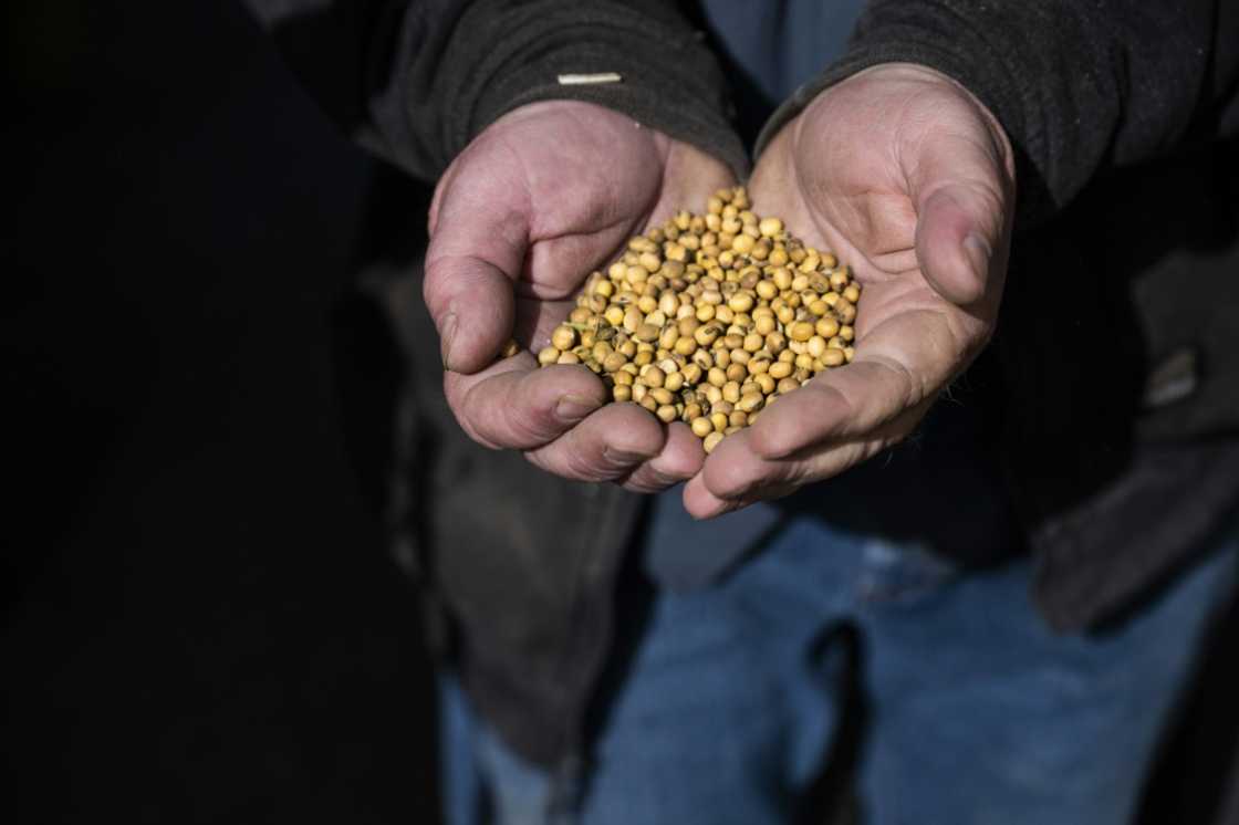 Soybean prices 'are really depressed because of the trade war,' farmer Travis Hutchison told AFP Soybean prices 'are really depressed because of the trade war,' farmer Travis Hutchison told AFP