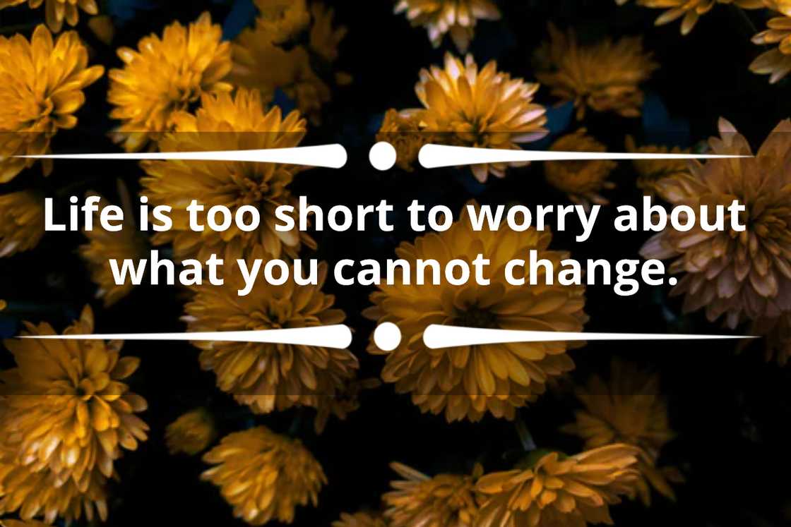 life is short life is short