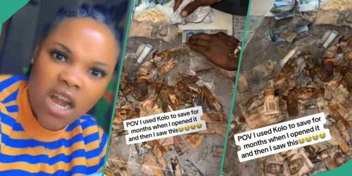 Nigerian lady in tears as money rots inside saving box