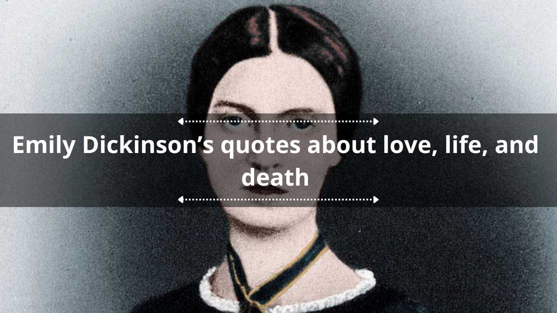 Emily Dickinson quotes