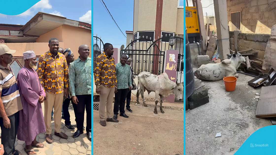 John Dumelo, Ayawaso West Wuogon constituency, John Dumelo donation, Ghana, Social media, Accra