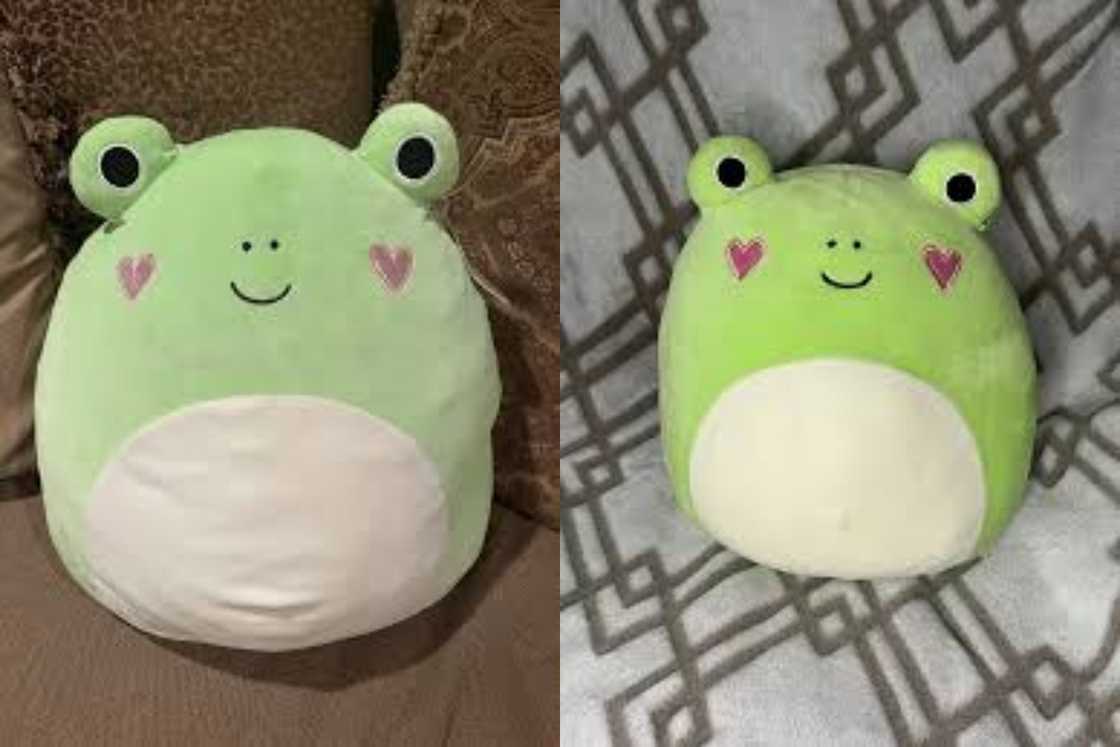 Philippe the Frog squishmallow is sitting on a brown chair and she is lying on a square patterned background Philippe the Frog squishmallow is sitting on a brown chair and she is lying on a square patterned background