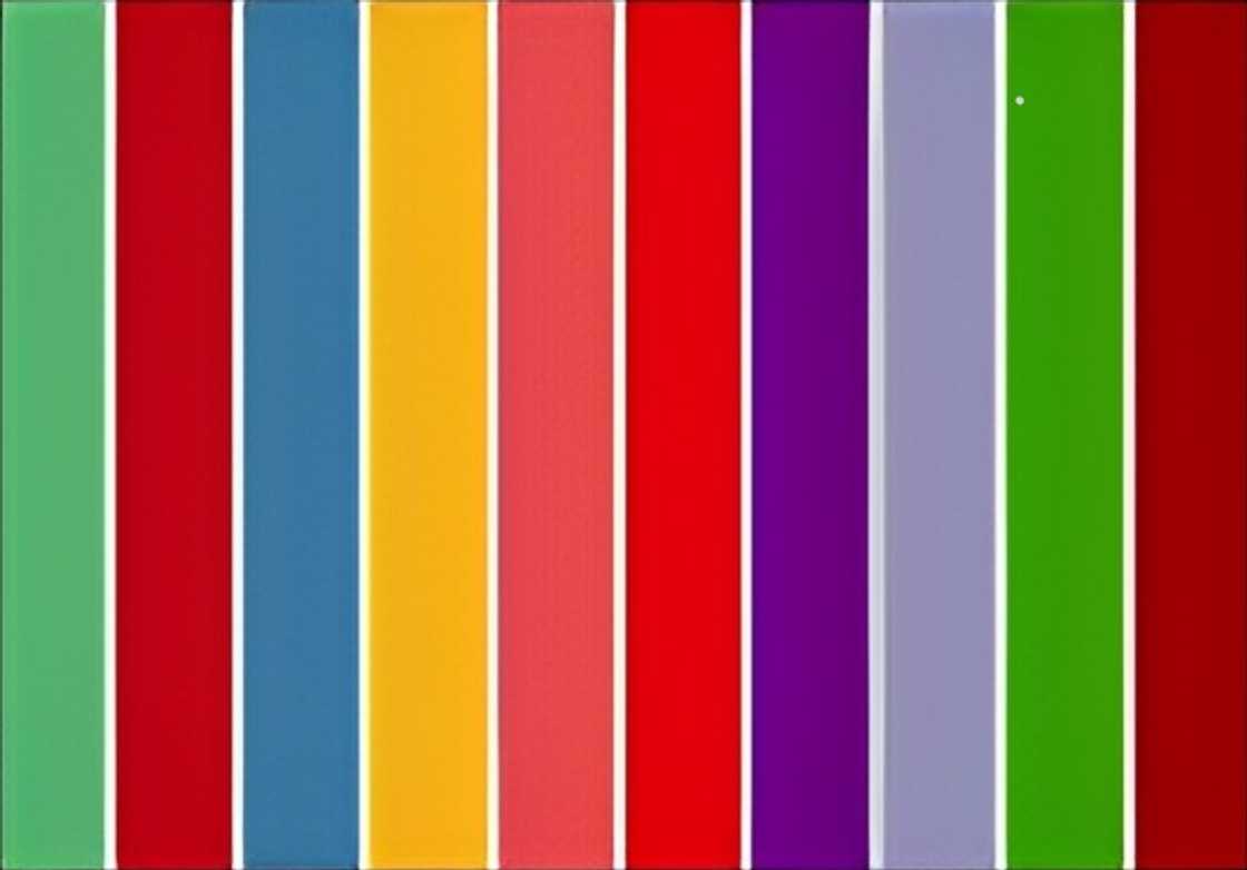 Delicate wildflowers summer colours Delicate wildflowers summer colours