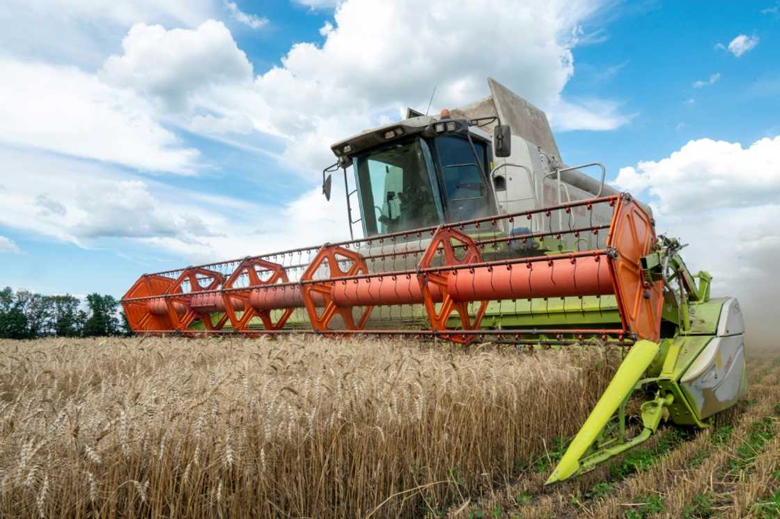 Farmers harvest a wheat field in the Ukrainian Kharkiv region on July 19, 2022, amid Russian invasion of Ukraine Farmers harvest a wheat field in the Ukrainian Kharkiv region on July 19, 2022, amid Russian invasion of Ukraine
