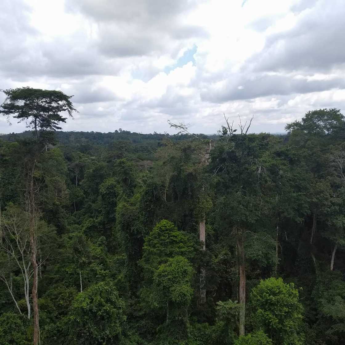 ghana africa pictures ghana africa pictures