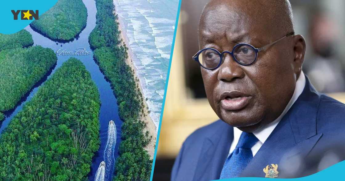 Pressure Builds On Akufo-Addo Government Over Amanzule Conservation Mining Pressure Builds On Akufo-Addo Government Over Amanzule Conservation Mining